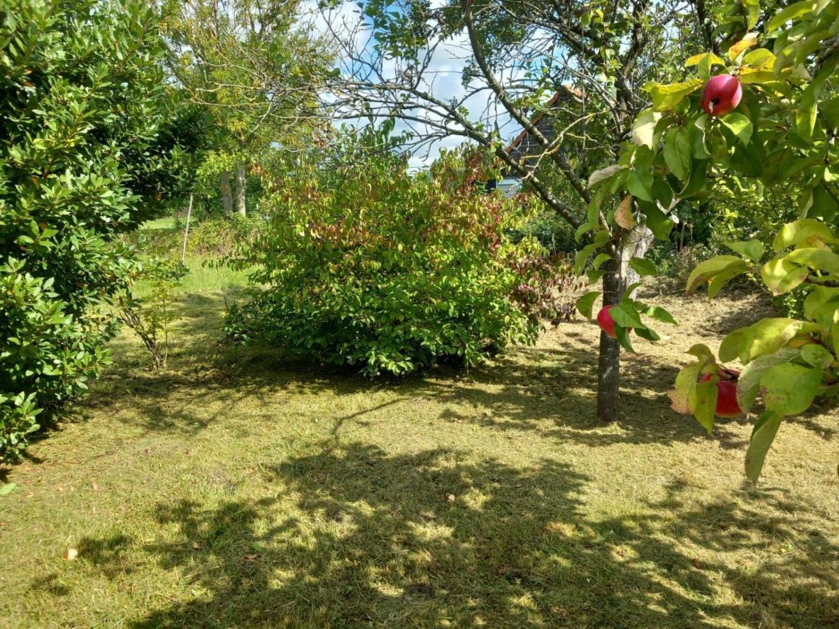 Willa Le Jardin Secret Saint-Omer  Zewnętrze zdjęcie